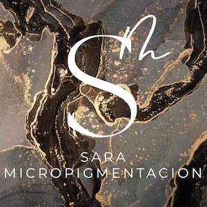 logo sara